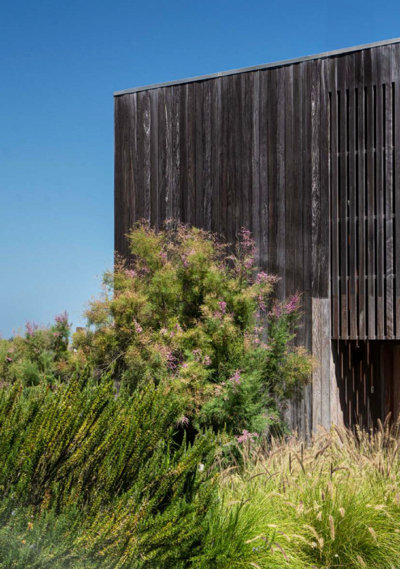 Arquitetura em madeira acinzentada e vegetação.