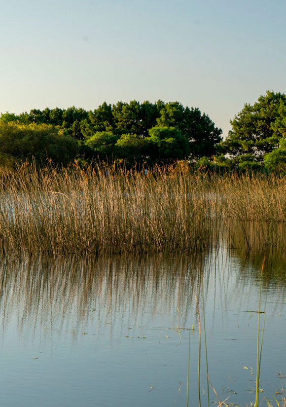 Expedição: Dia um. Laguna Garzón; Arenas de José Ignacio; José Ignacio
