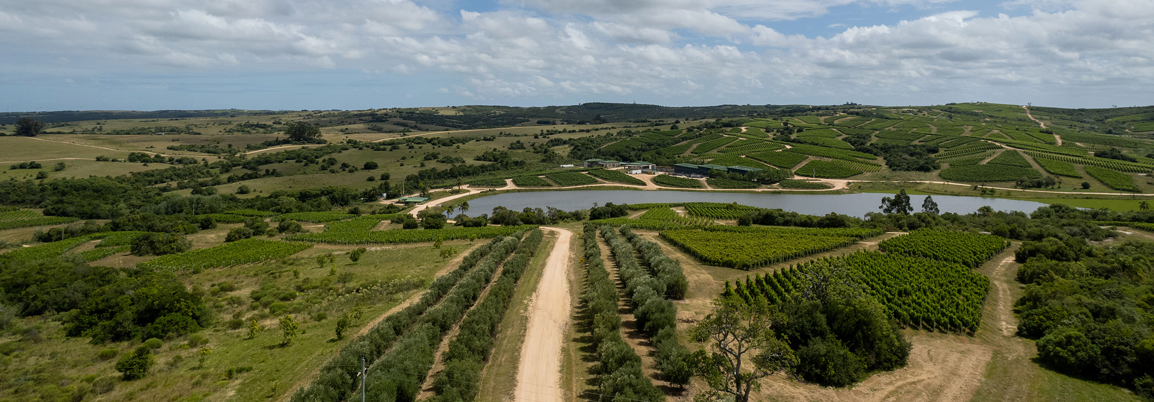 Expedição: Dia cinco. Pueblo Garzón