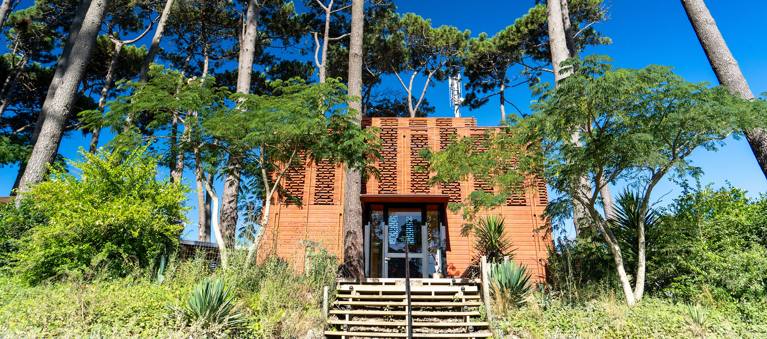 Expedição: Dia dois. José Ignacio; La Juanita