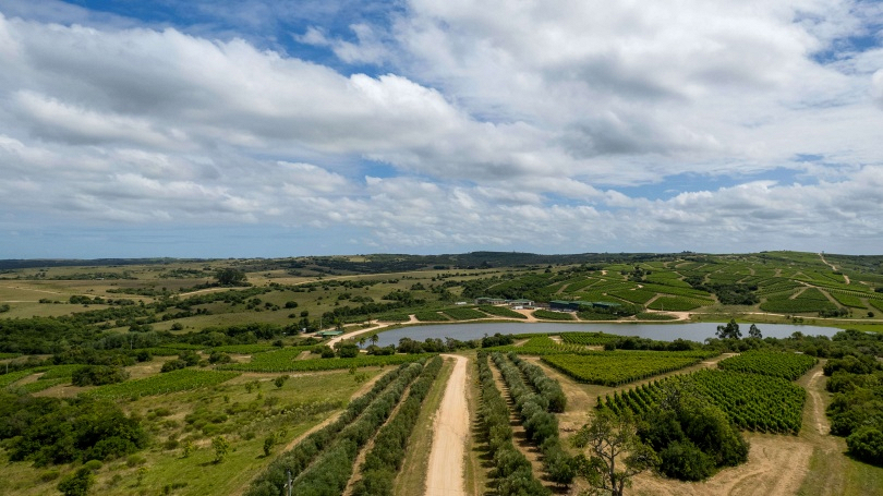 Colla: roteiro Uruguai